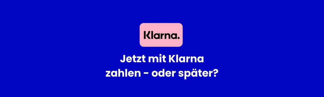 Snus kaufen mit Klarna: Bestellen auf Rechnung oder Raten