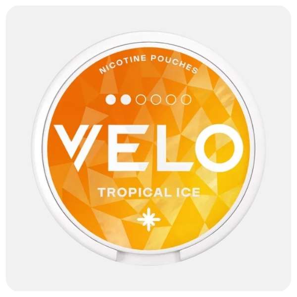 Velo Mini 2 Tropical Ice
